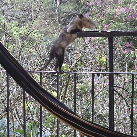 El Valle De Anton La Chachalaca Eksteriør billede