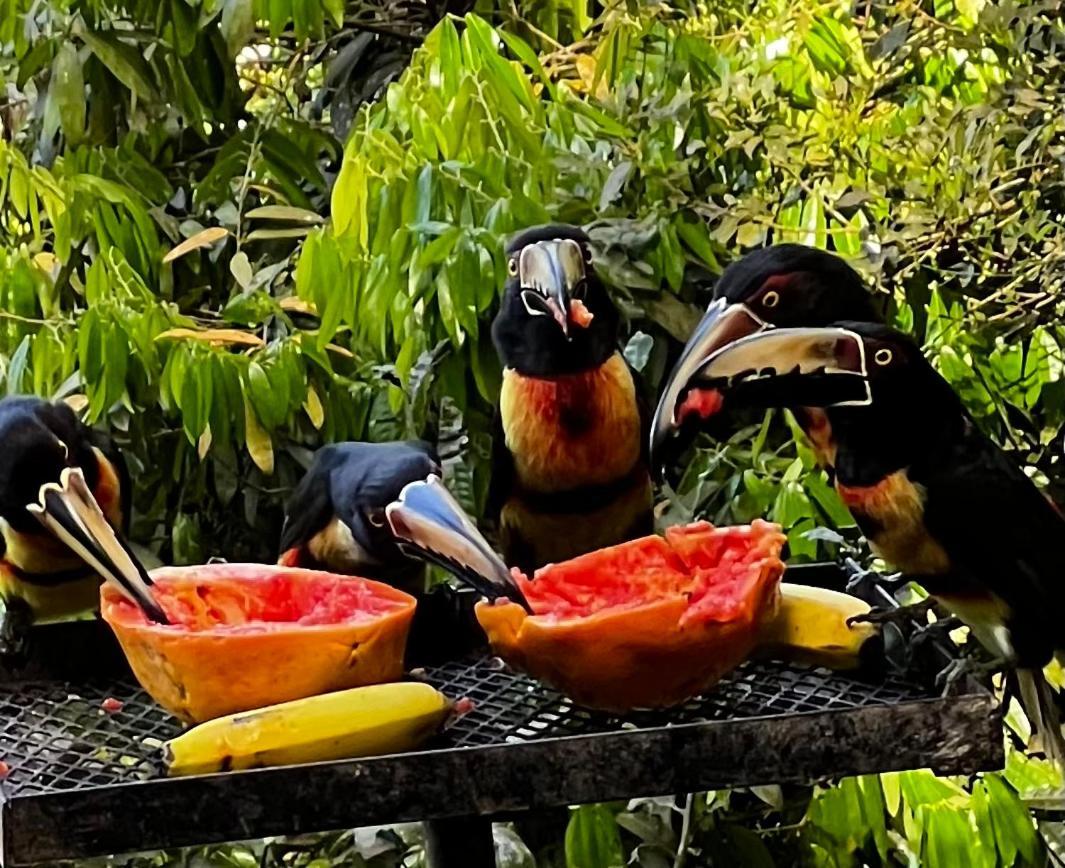 El Valle De Anton La Chachalaca Eksteriør billede